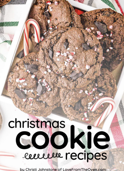 Chocolate cookies with candy canes in a small box.